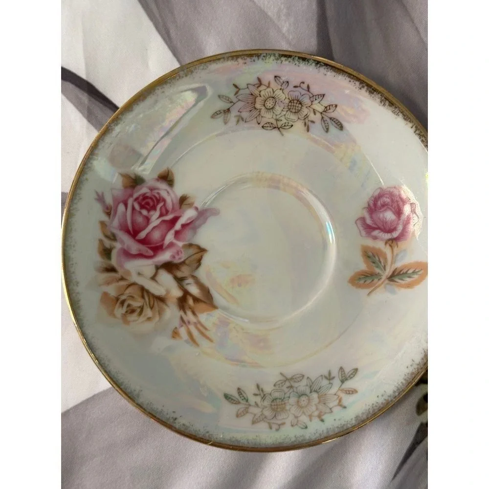 Choice Imports Vintage Floral Teacup and Saucer Set Gold Trim Iridescent‎ Rose
